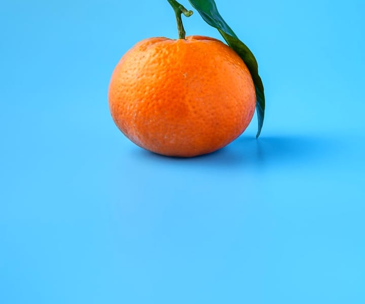 image of an orange